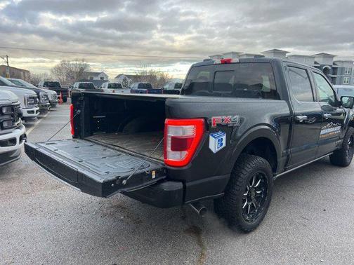 2021 Ford F-150 Platinum