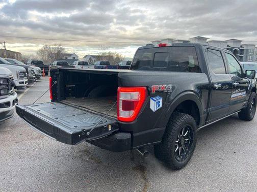2021 Ford F-150 Platinum