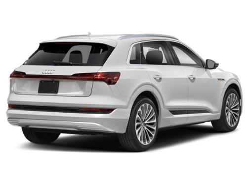 Blue Metallic 2021 Audi e-tron Premium