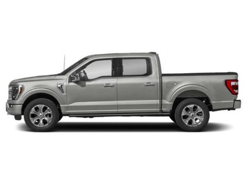 Gray Metallic 2022 Ford F-150 Platinum