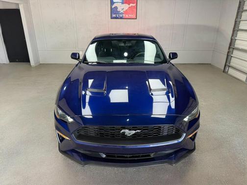 Blue 2019 Ford Mustang EcoBoost