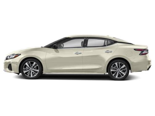 Pearl White Tricoat 2019 Nissan Maxima 3.5 S