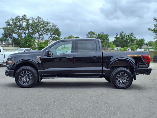 Agate Black Metallic 2025 Ford F-150 Tremor