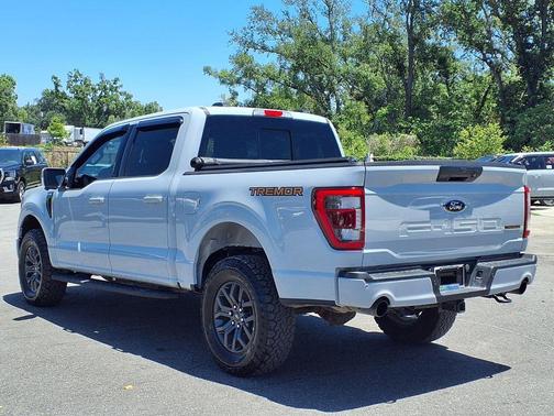 Avalanche 2023 Ford F-150 Tremor