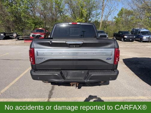 Magnetic Metallic 2015 Ford F-150 Platinum
