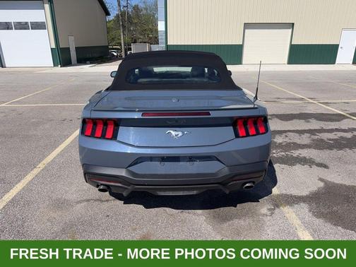 Vapor Blue 2025 Ford Mustang EcoBoost Premium