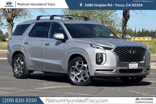 Typhoon Silver 2022 Hyundai PALISADE Calligraphy