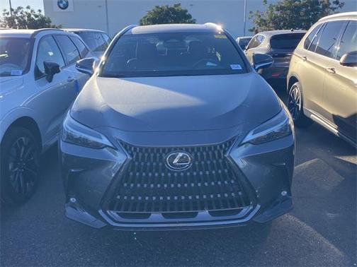 2023 Lexus NX 350 Premium