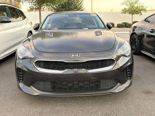 Panthera Metal 2019 Kia Stinger Base