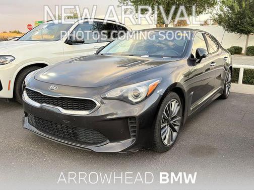 Panthera Metal 2019 Kia Stinger Base