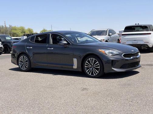 Panthera Metal 2019 Kia Stinger Base