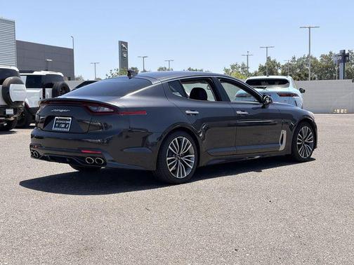 Panthera Metal 2019 Kia Stinger Base