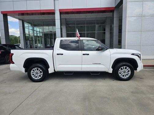 Ice 2025 Toyota Tundra SR5
