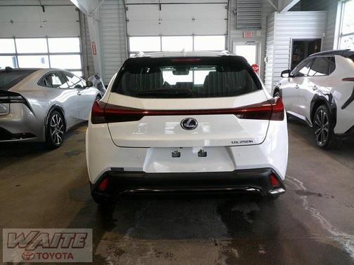 2022 Lexus UX 250h F Sport