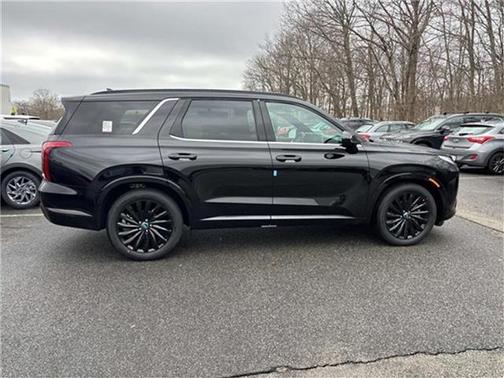 2025 Hyundai PALISADE Calligraphy Night Edition