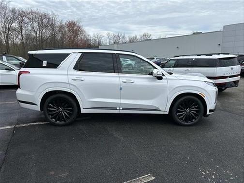 2025 Hyundai PALISADE Calligraphy Night Edition
