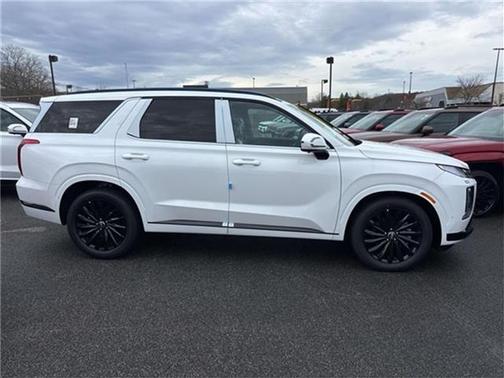 2025 Hyundai PALISADE Calligraphy Night Edition