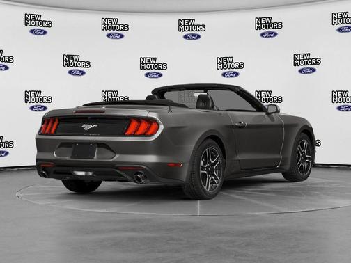 Magnetic 2019 Ford Mustang EcoBoost Premium