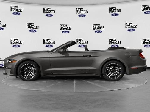 Magnetic 2019 Ford Mustang EcoBoost Premium