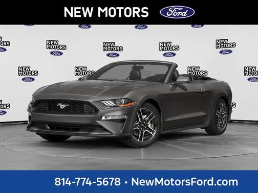 Magnetic 2019 Ford Mustang EcoBoost Premium