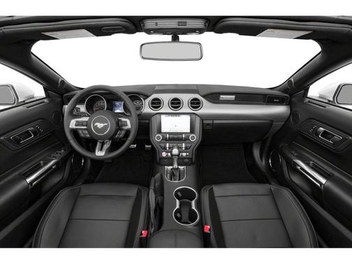 Magnetic 2019 Ford Mustang EcoBoost Premium
