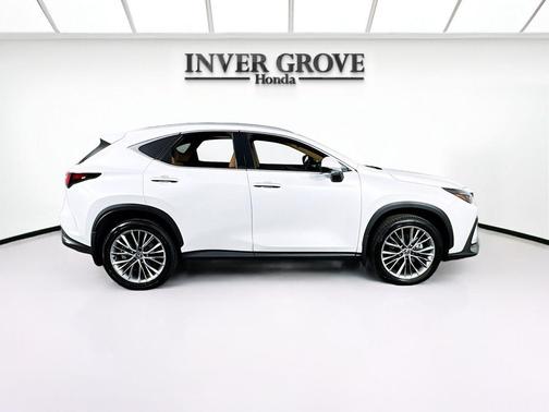 2025 Lexus NX 350h Premium