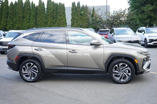 Cashmere 2025 Hyundai TUCSON Hybrid Limited