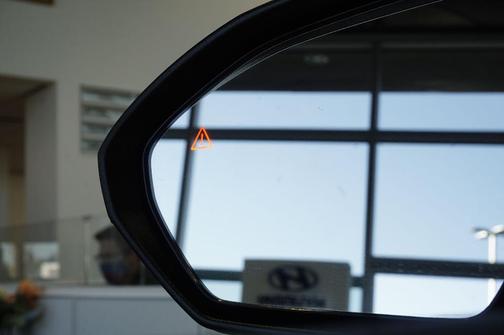 2026 Hyundai IONIQ 9 PERFORMANCE CALLIGRAPHY