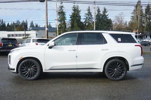 2025 Hyundai PALISADE Calligraphy Night Edition