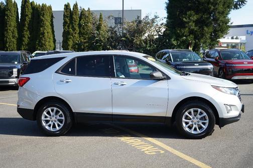 Silver Ice Metallic 2019 Chevrolet Equinox LS