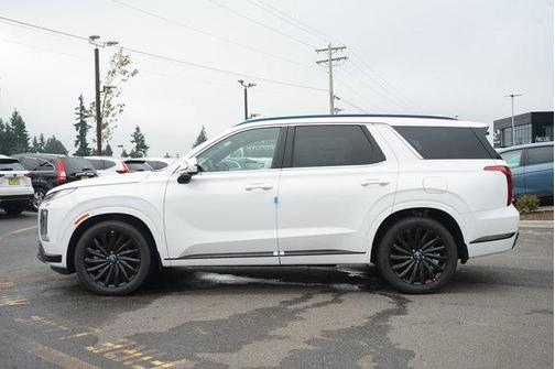 2025 Hyundai PALISADE Calligraphy Night Edition