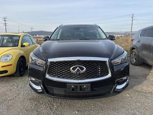 2019 INFINITI QX60 Pure