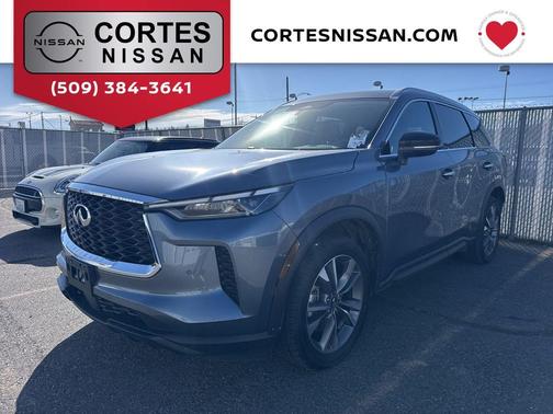 Grand Blue 2024 INFINITI QX60 Luxe