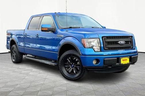 2013 Ford F-150 FX4