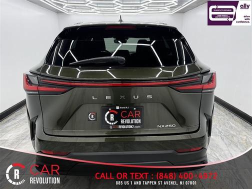 Green 2023 Lexus NX 250 Premium