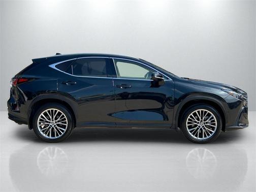 2024 Lexus NX 350h Luxury