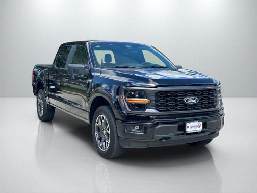 Agate Black Metallic 2025 Ford F-150 STX