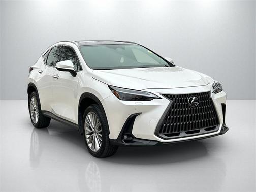 2024 Lexus NX 350h Luxury