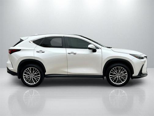 2024 Lexus NX 350h Luxury