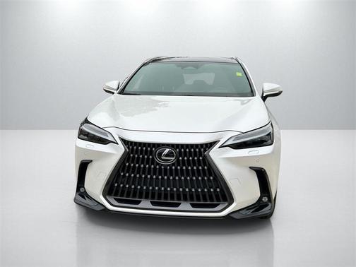2024 Lexus NX 350h Luxury