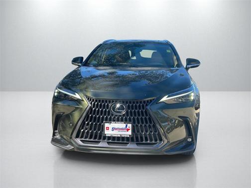 2022 Lexus NX 350h Premium