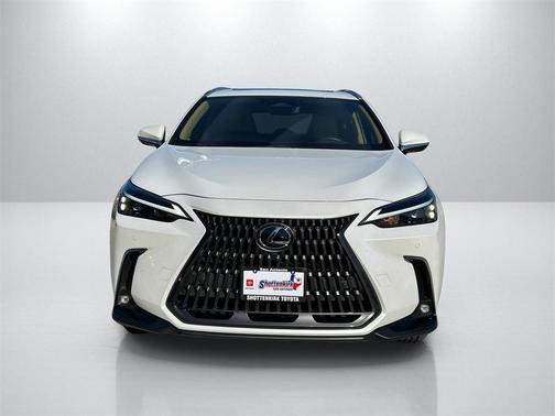 2024 Lexus NX 350h Premium