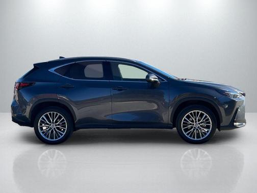 2022 Lexus NX 350h Premium