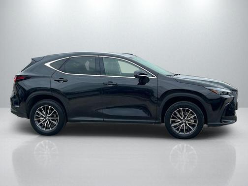2025 Lexus NX 350h Premium