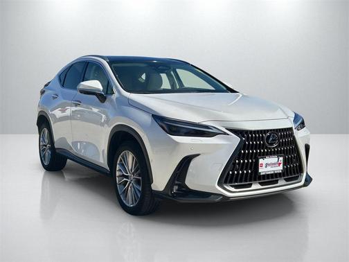 2025 Lexus NX 350h Luxury