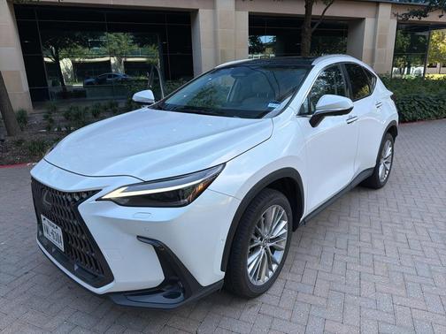 2025 Lexus NX 350h Luxury