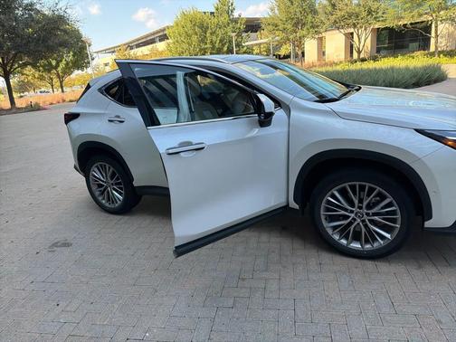 2025 Lexus NX 350h Luxury