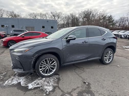 2024 Lexus NX 350 Luxury