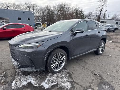 2024 Lexus NX 350 Luxury