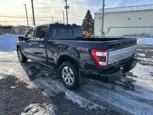 2022 Ford F-150 Platinum